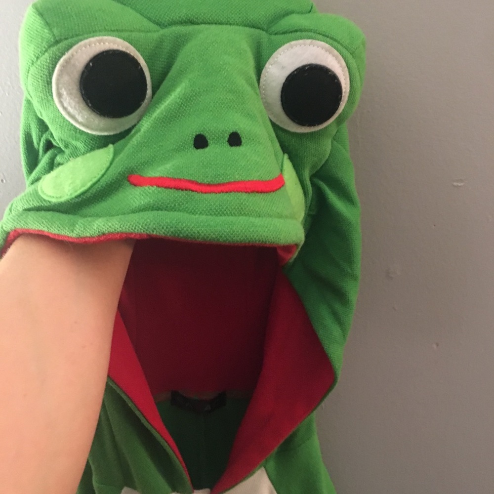 Adult Frog costume